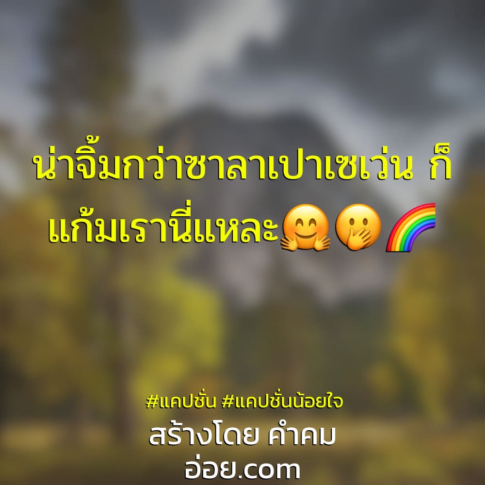 รวม 53 